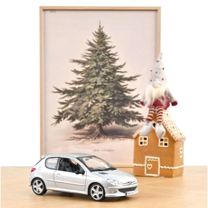 Norev Peugeot 206 RC 2003 Aluminium Silver