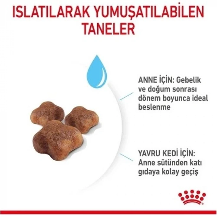Royal Canin® Mother & Babycat Yavru Kedi Maması 4 Kg