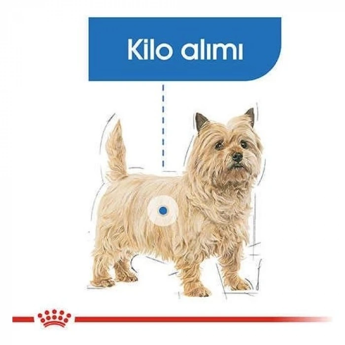 Royal Canin Mini Light Care Diyet Yetişkin Köpek Maması 3 Kg