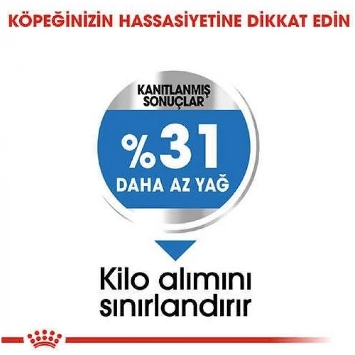 Royal Canin Mini Light Care Diyet Yetişkin Köpek Maması 3 Kg