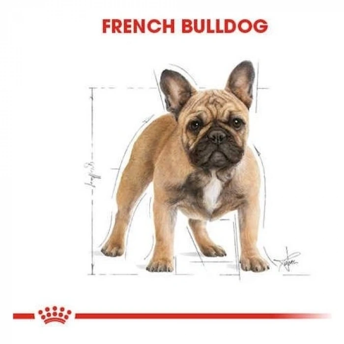 Royal Canin French Bulldog Adult Yetişkin Köpek Maması 3 Kg