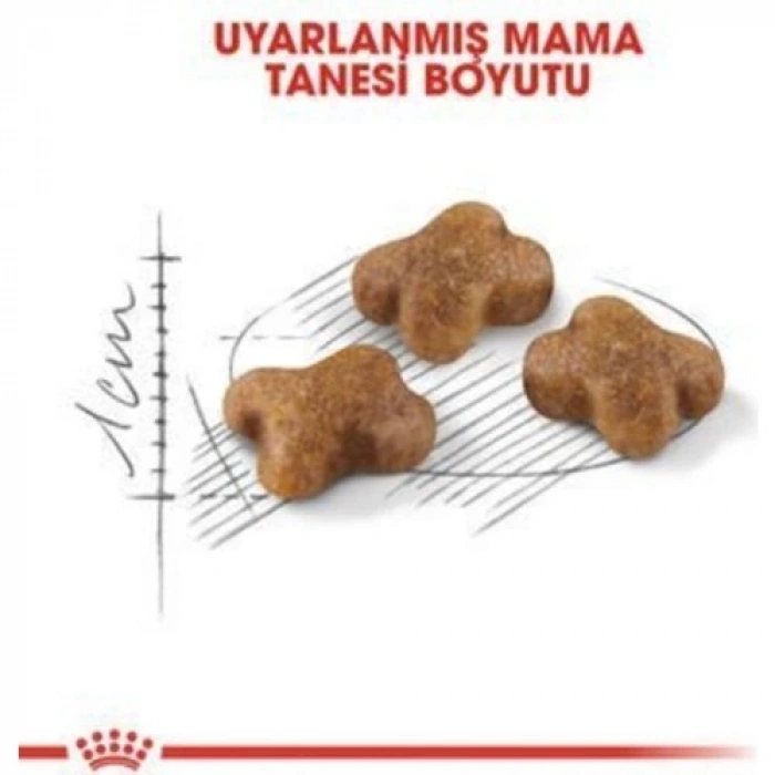 Royal Canin Kitten Yavru Kedi Maması - 4 Kg