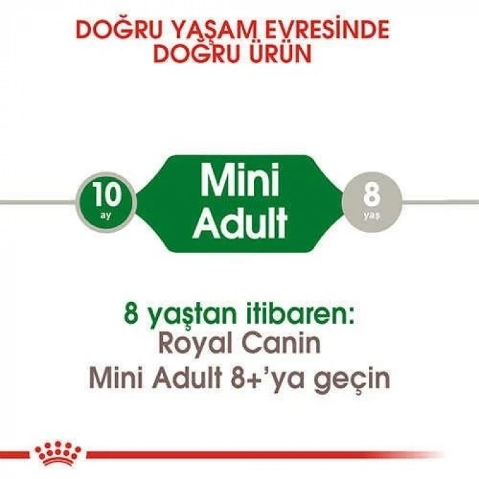 Royal Canin Mini Adult Küçük Irk Yetişkin Köpek Maması 4 Kg