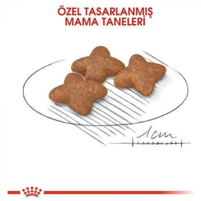 Royal Canin Mini Adult Küçük Irk Yetişkin Köpek Maması 4 Kg