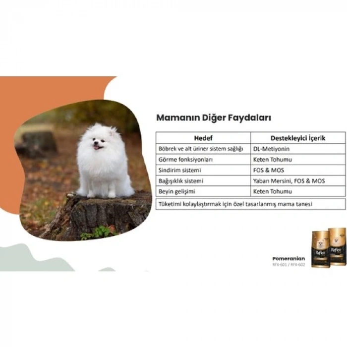 Reflex Plus Pomeranian Yetişkin Köpek Maması 2 kg