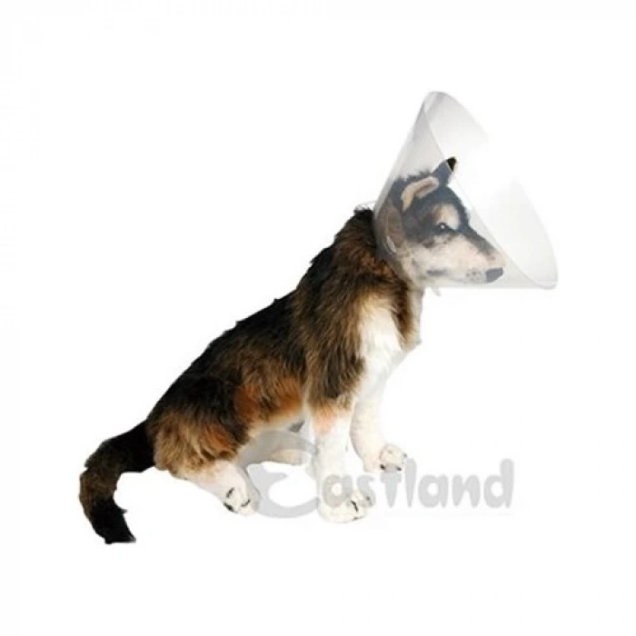 Eastland Yakalık (Elizabet) 25 Cm