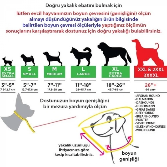 Eastland Yakalık (Elizabet) 25 Cm