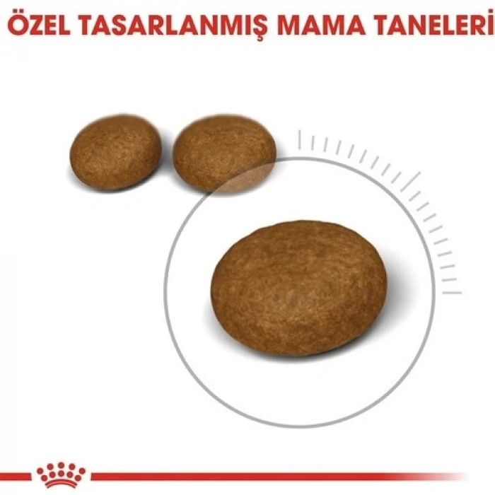 Royal Canin Hair Skin Hassas Tüylü Kediler İçin Mama 2 Kg