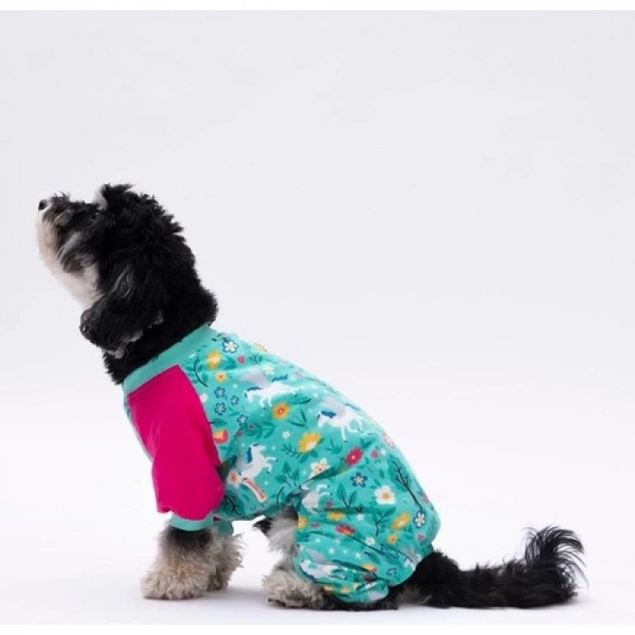 Pawstar Küçük Irk Köpek Mint Unicorn Penye Tulum Pijama