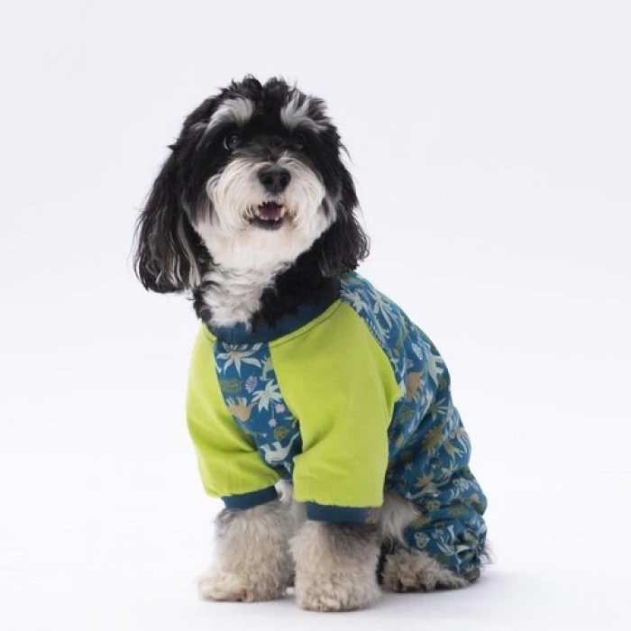 Pawstar Dinosaur Kedi Köpek Pijaması Kedi Köpek Tulumu Kedi Köpek Kıyafeti