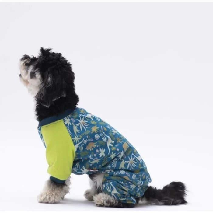 Pawstar Dinosaur Kedi Köpek Pijaması Kedi Köpek Tulumu Kedi Köpek Kıyafeti