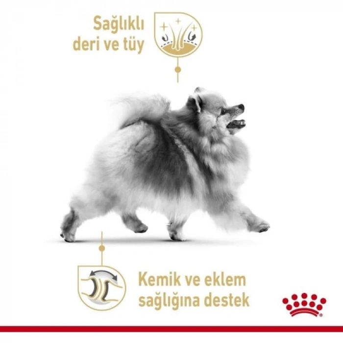 Royal Canın Bhn Pomeranın 1,5K