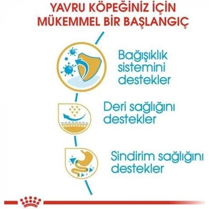 Royal Canin Pug 25 Pug Junior Yavru Köpek Maması 1,5 Kg