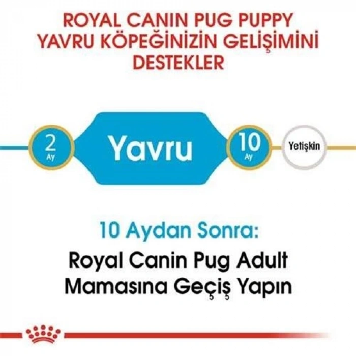 Royal Canin Pug 25 Pug Junior Yavru Köpek Maması 1,5 Kg