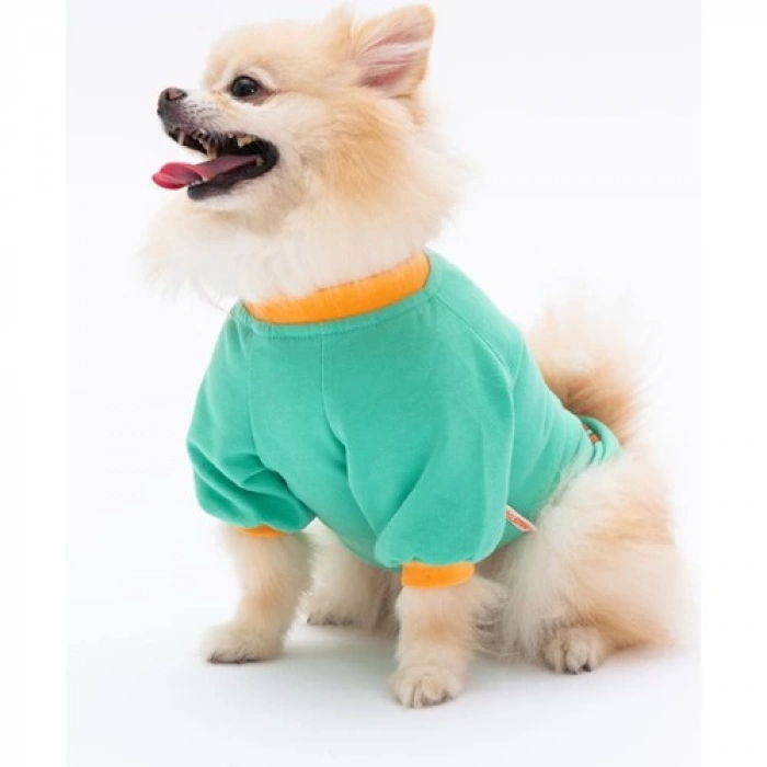 Pawstar Mint Bone Hunter Köpek Sweati Köpek Kıyafeti Kedi Kıyafeti