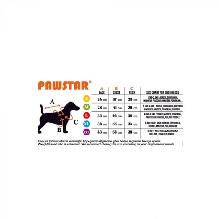 Pawstar Mint Bone Hunter Köpek Sweati Köpek Kıyafeti Kedi Kıyafeti