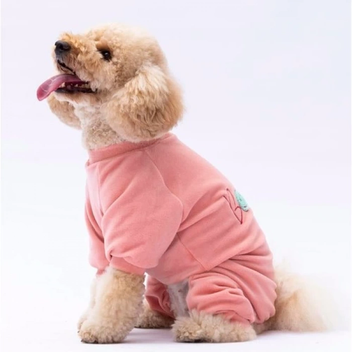 Pawstar Rose Bonjour Kadife Küçük Irk Köpek Tulumu