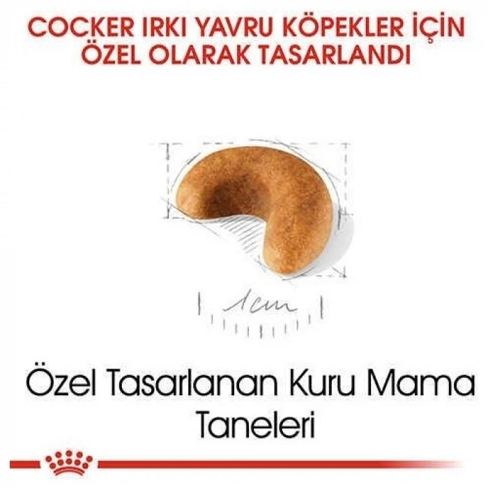 Royal Canin Cocker Junior Yavru Köpek Maması 3 Kg