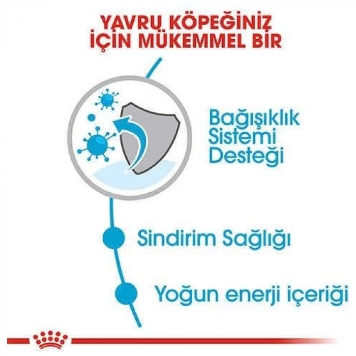 Royal Canin Mini Puppy Küçük Irk Yavru Köpek Maması 4 Kg