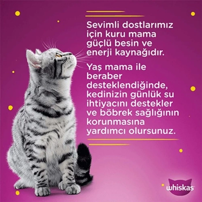 Whiskas Güveç Tavuklu Poşet Mama 85 gr
