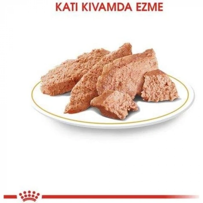 Royal Canin Chihuahua Yetişkin Köpek Konservesi 85 gr