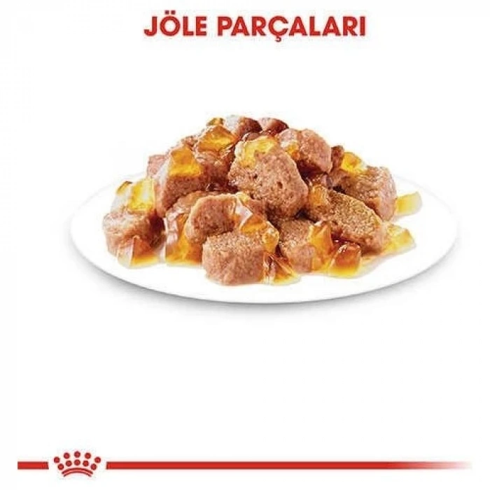 Royal Canin İntense Beauty Jelly Pouch Kedi Maması 85 Gr