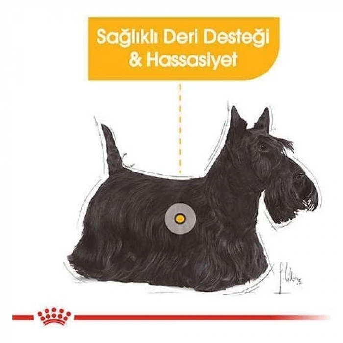 Royal Canin Mini Dermacomfort Pouch Konserve Köpek Maması 85 Gr