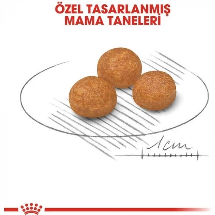 Royal Canin X-Small Küçük Irk Köpek Maması 3 kg