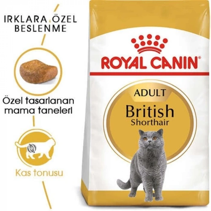 Royal Canin British Shorthair Kedi Maması 2 Kg