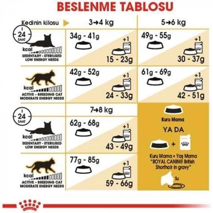 Royal Canin British Shorthair Kedi Maması 2 Kg