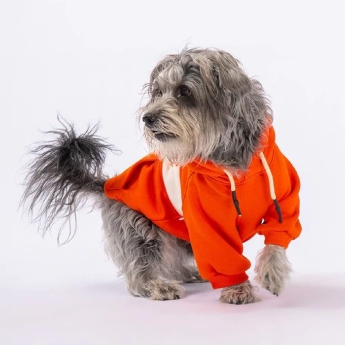 PawStar Turuncu Cute Hoodie Küçük ve Orta Irk