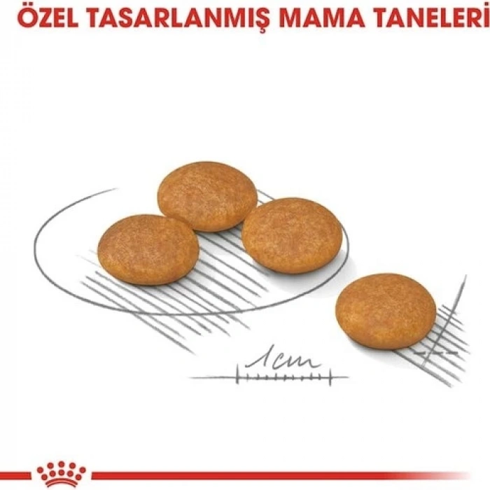 Royal Canin Mini Dermacomfort Yetişkin Köpek Maması 3 Kg