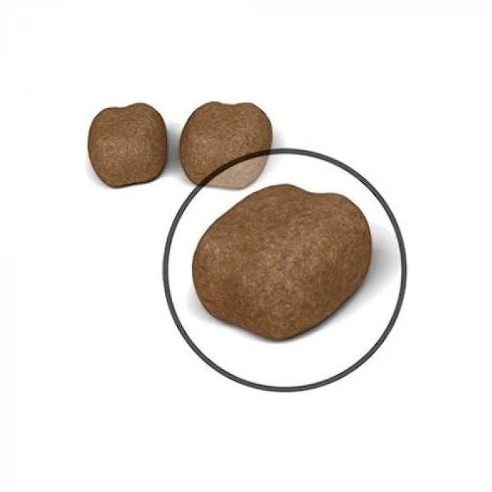 Royal Canin Oral Care Kedi Maması - 1,5 Kg