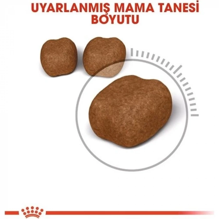 Royal Canin Oral Care Kedi Maması - 1,5 Kg