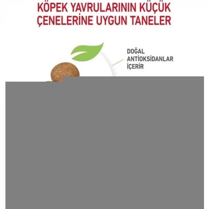 Royal Canin Maxi Puppy 15 Kg Yavru Kuru Köpek Maması