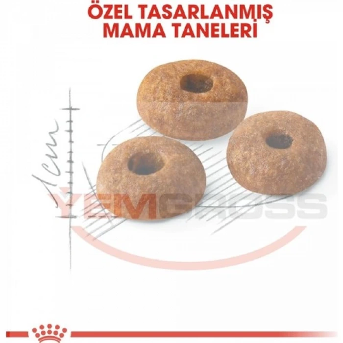 Royal Canin Fit 32 Kedi Maması - 15 Kg