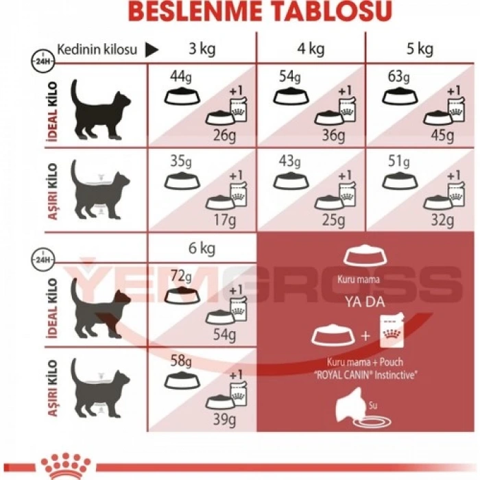 Royal Canin Fit 32 Kedi Maması - 15 Kg