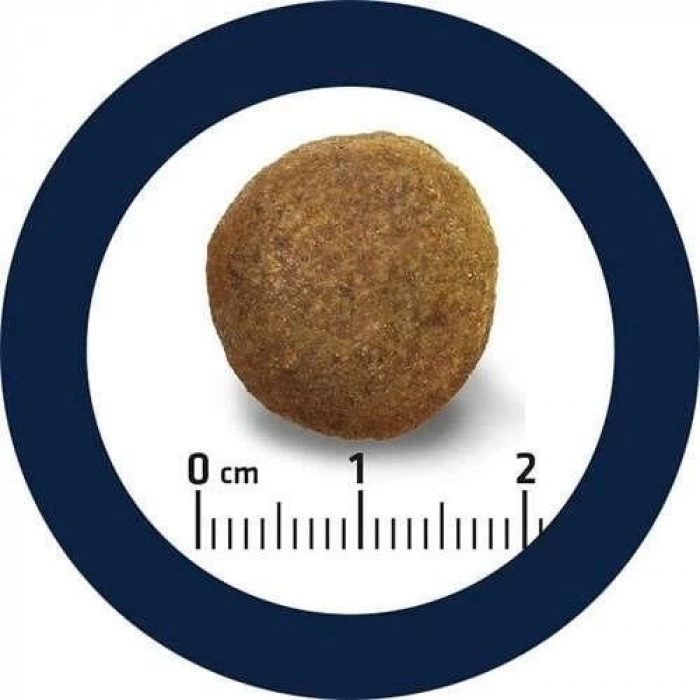 Advance Alman Kurtları için Hindili Yetişkin Köpek Maması 12 Kg