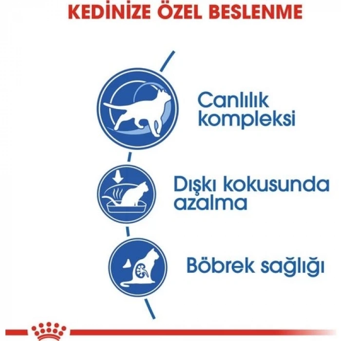 Royal Canin Indoor +7 Ev Kedileri için Yaşlı Kedi Maması 1,5 Kg