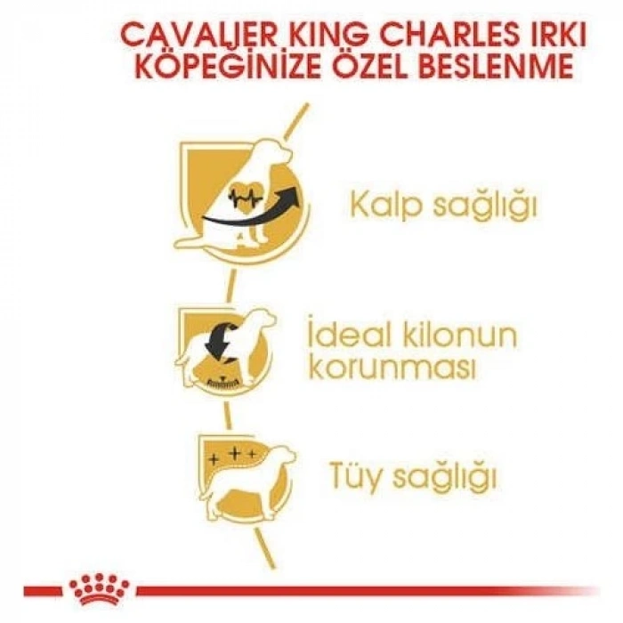 Royal Canin Cavalier King Charles Yetişkin Köpek Maması 1,5 Kg