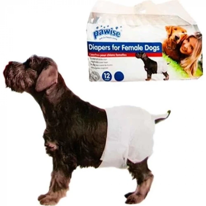 Pawise Dişi Köpek Alt Bağlama Bezi XL Boy 12 Adet