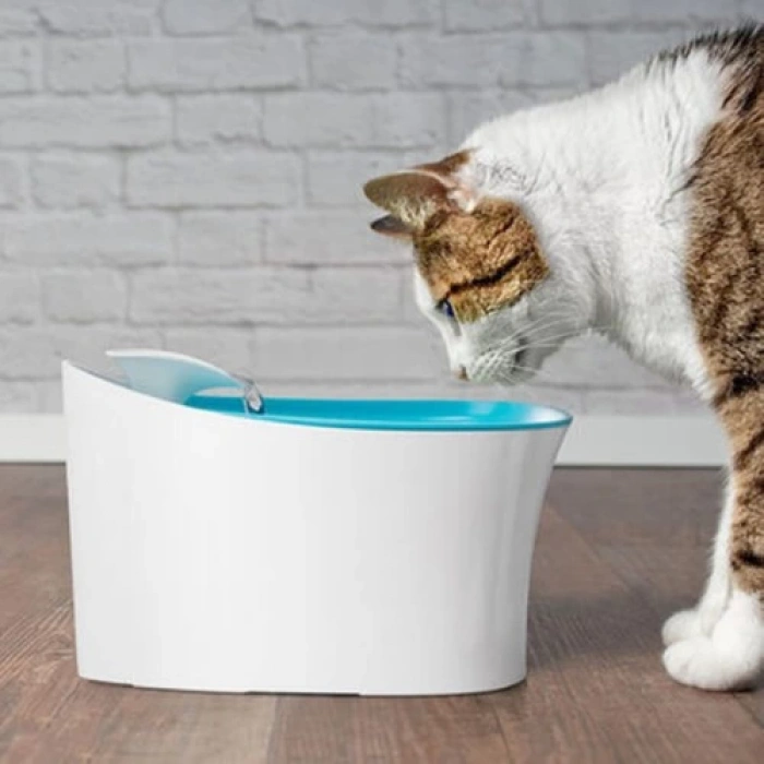 Pet Water Fountain Kediler Için Su Pınarı