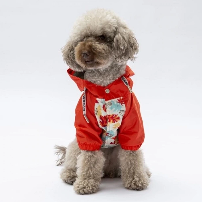 Pawstar Ottawa Köpek Mont