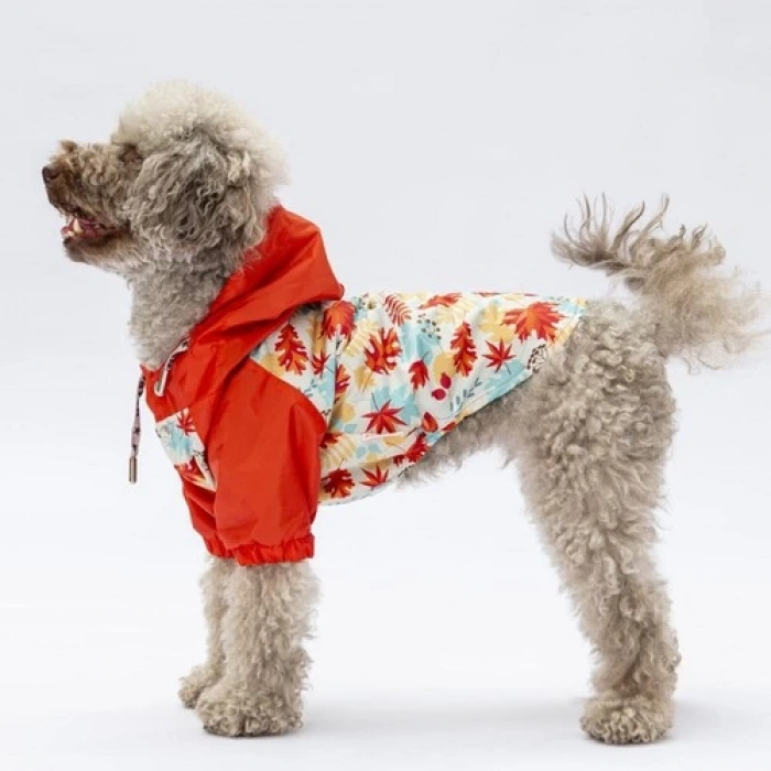 Pawstar Ottawa Köpek Mont