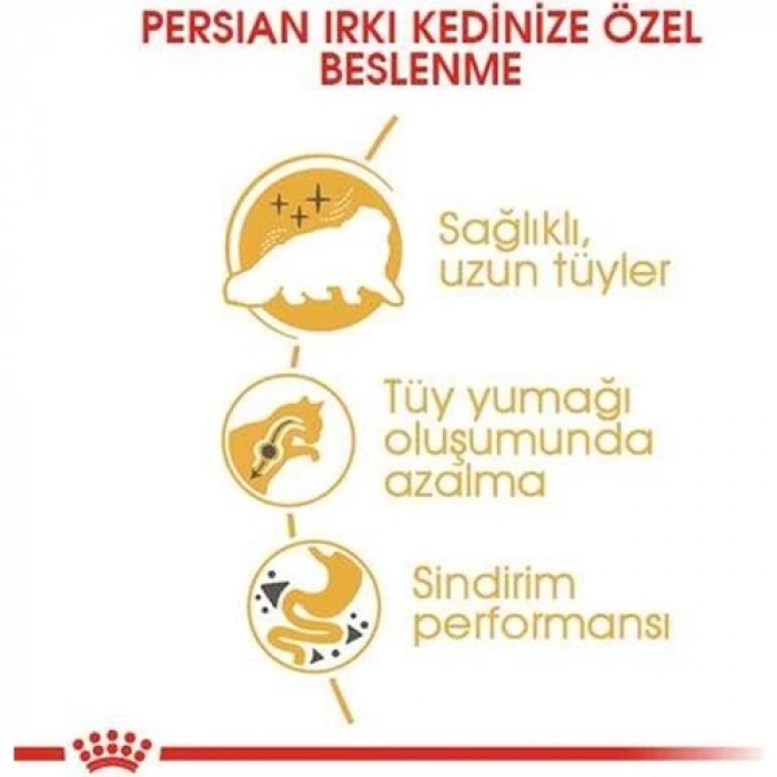 Royal Canin Persian Adult Kuru Kedi Maması 4 kg