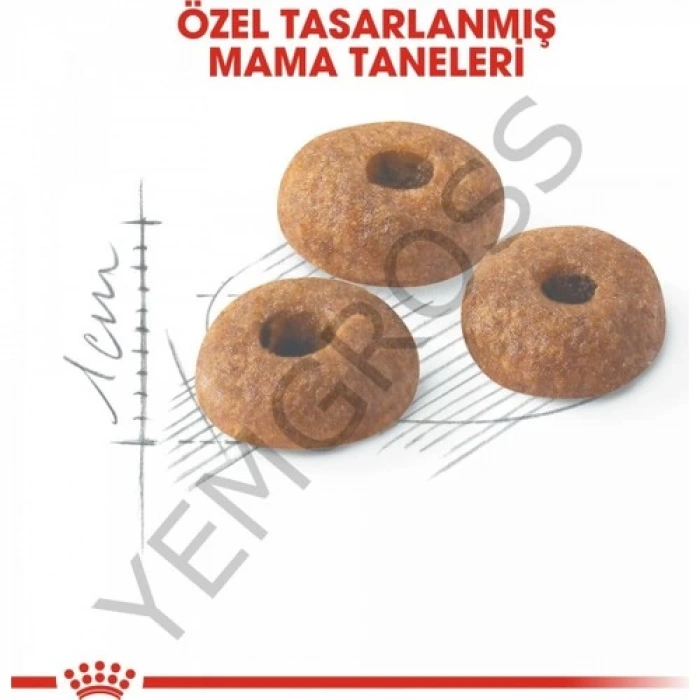 Royal Canin Fit 32 Kedi Maması - 2 Kg