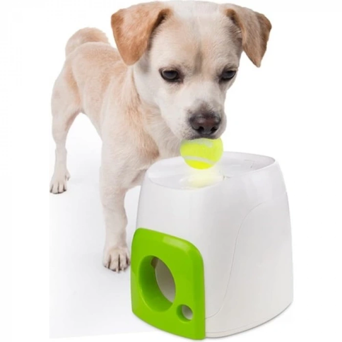 Afp Interactives - Köpek İçin Otomatik Ödül Oyun