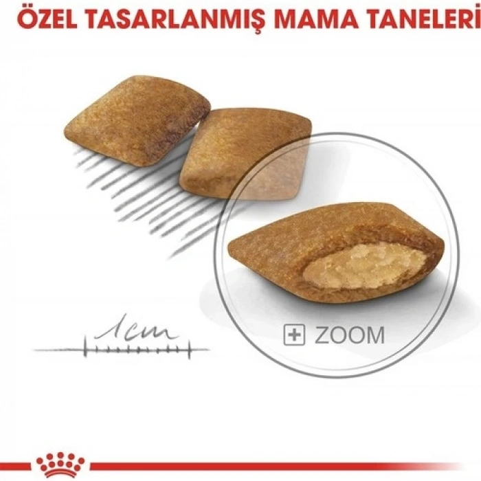 Royal Canin Ccn Mini Exigent Köpek Maması 3 kg