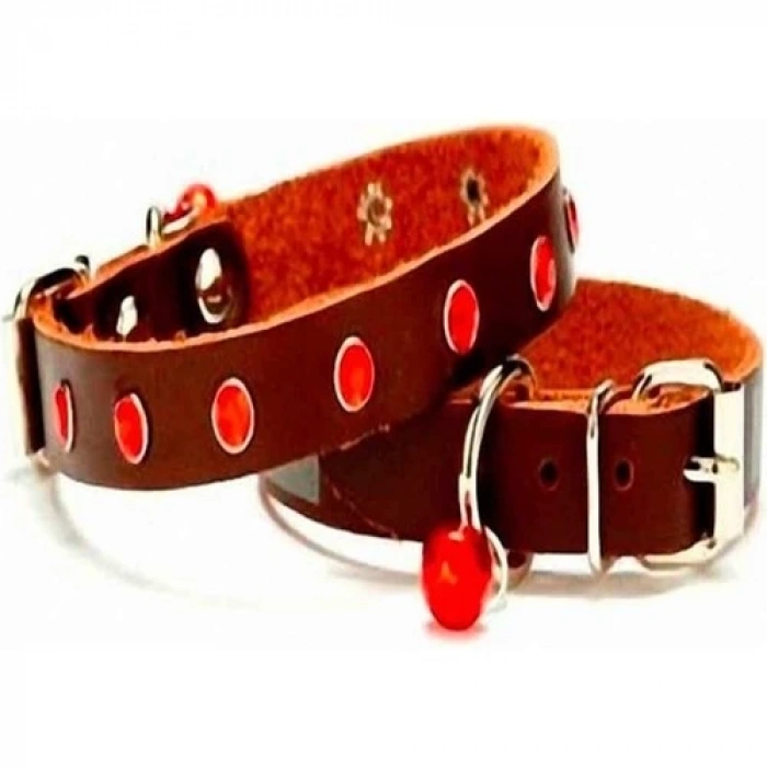 Doggie Taşlı Kedi ve Yavru Köpek Tasması Kahverengi 1,2*26 Cm