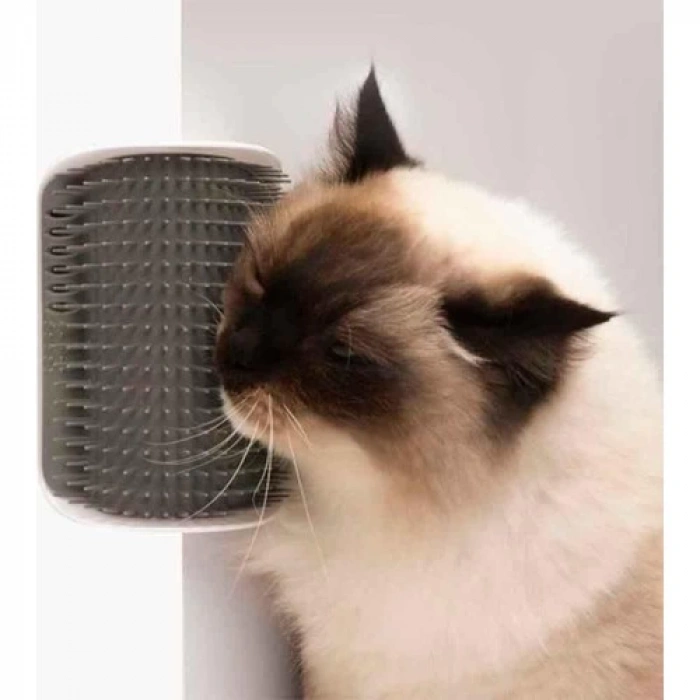 Cat İt Senses Self Groomer Kedi Kaşınma Aparatı